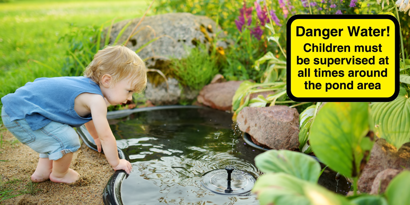 Pond Safety and Regulations