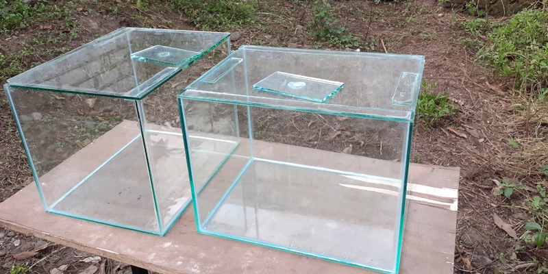 DIY Aquarium Projects