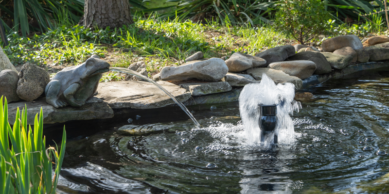 DIY Pond Projects