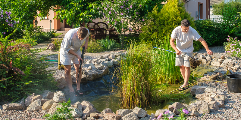 Seasonal Pond Care