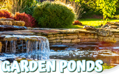 Garden pond with a stone waterfall
